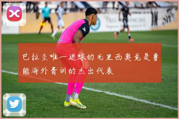 巴拉圭唯一进球的毛里西奥竟是鲁能海外青训的杰出代表
